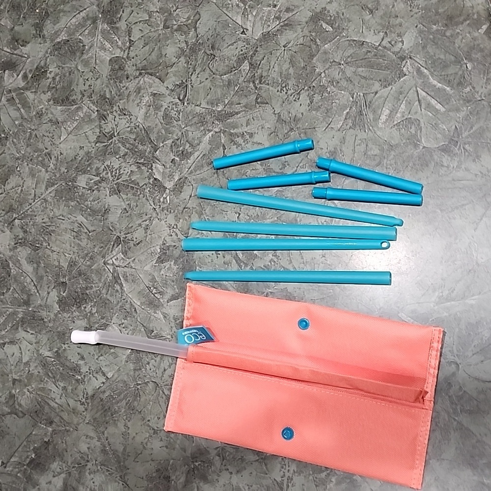 Tupperware Reusable Straws and Case